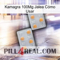 Kamagra 100Mg Jalea Cómo Usar 25